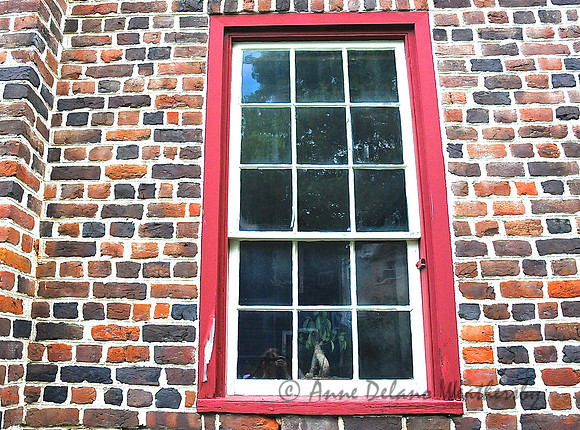 Red window
