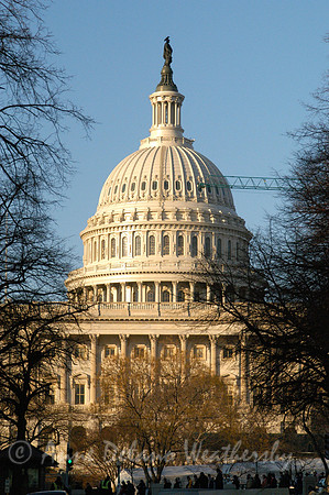 Capitol
