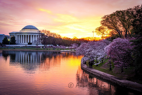 Jefferson Memorial