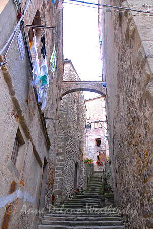 Tuscan Steps