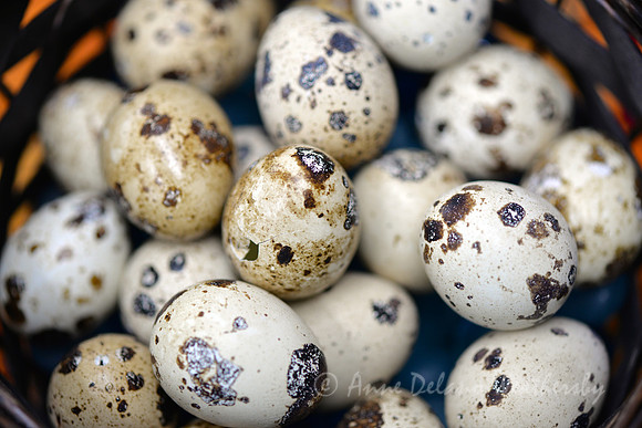 Quail Eggs