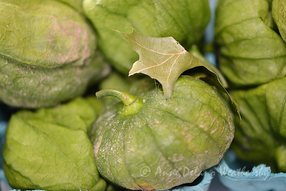 Tomalitos