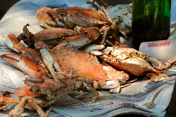 Crabs